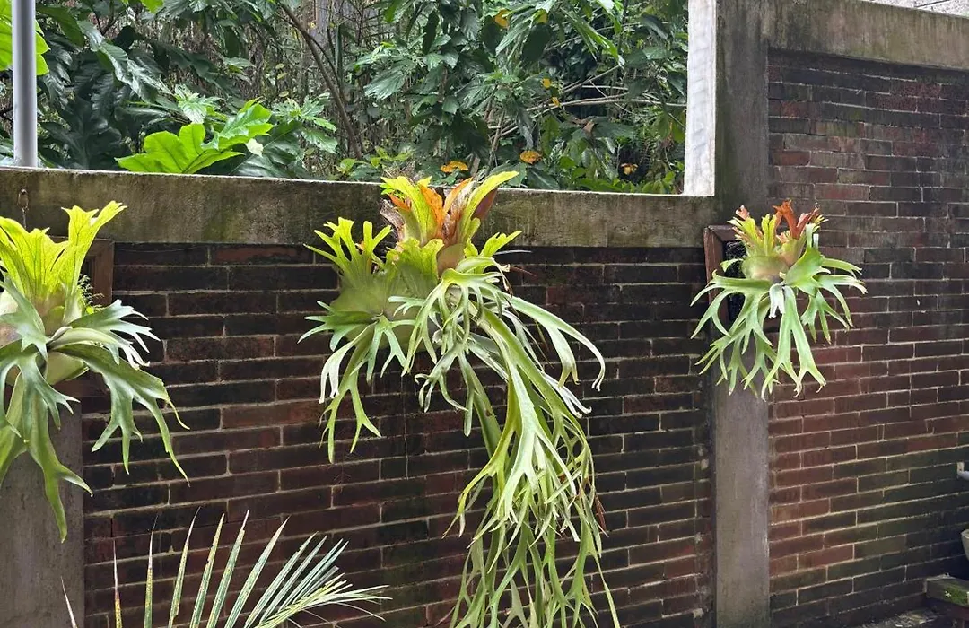 Adi Jaya Cottages Ubud Suites By Eps - Chse Certified-1