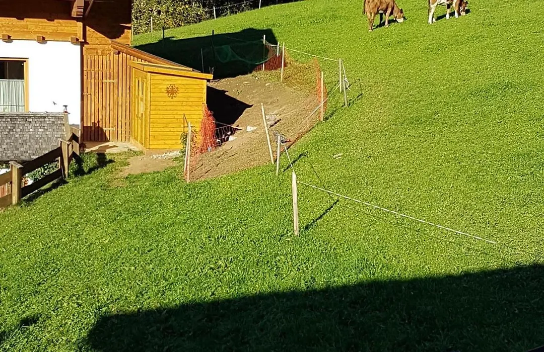 Haus Theresia Alpbach-1