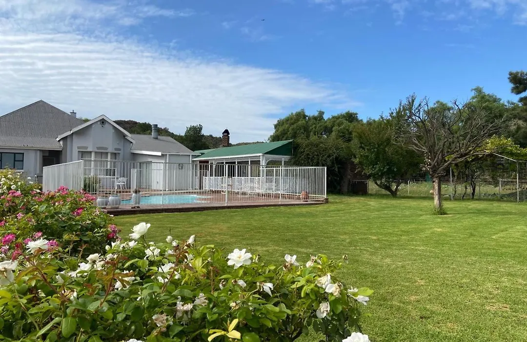 Die Kleipot Guest House-1