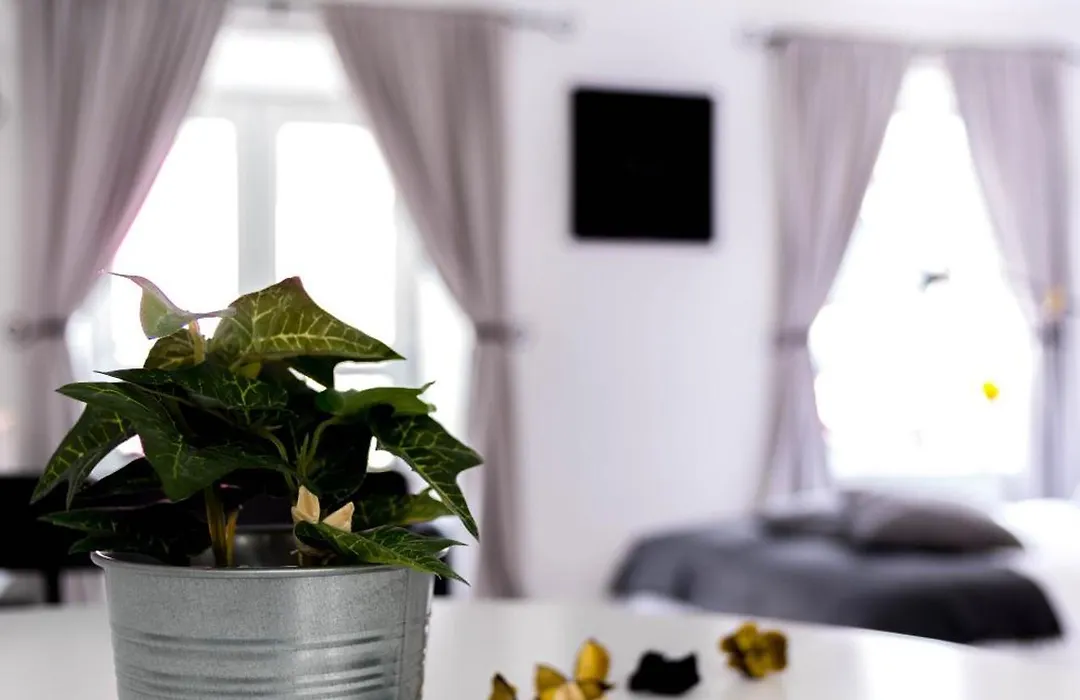 Amica Guesthouse-1