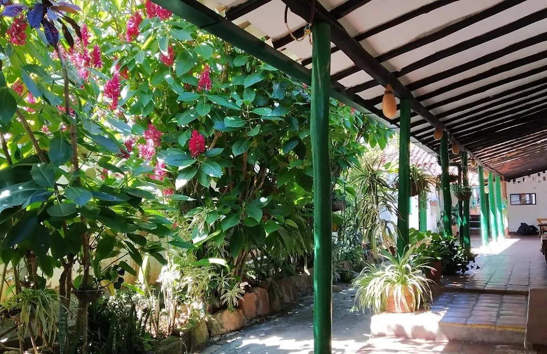 Mi Ranchito, Centro-1