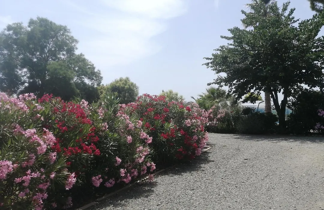 A l'Orée Des Vignes-1
