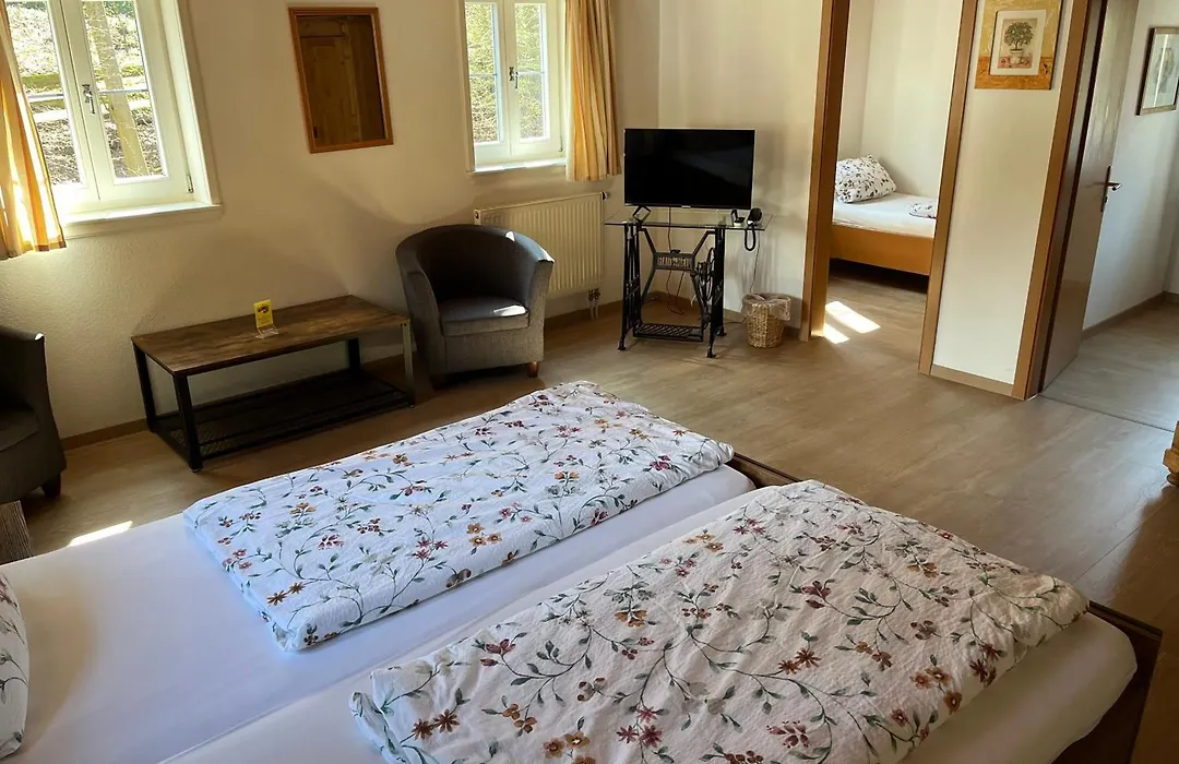 Pension Untere Mühle-1