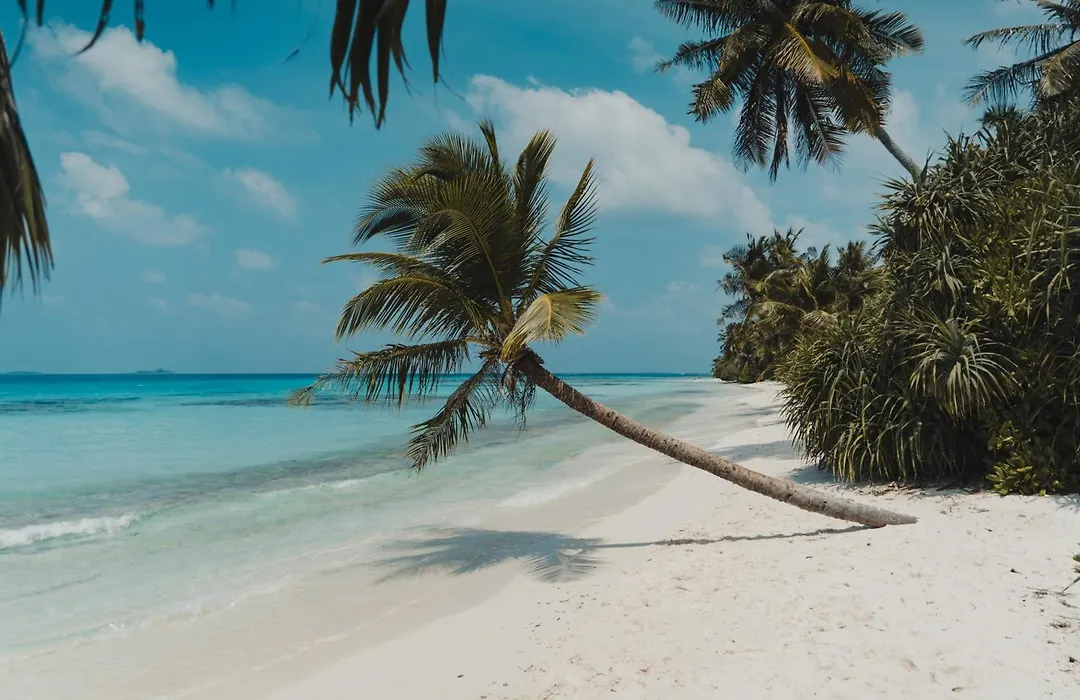 Muraka Dhigurah-1