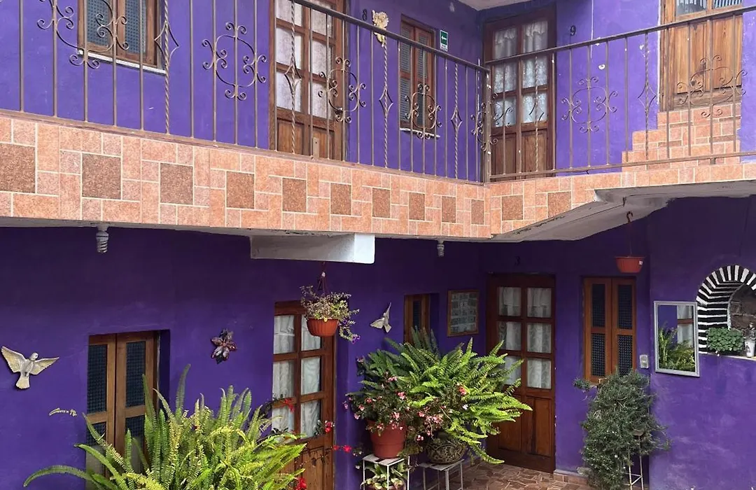 Hospedaje Alex-1