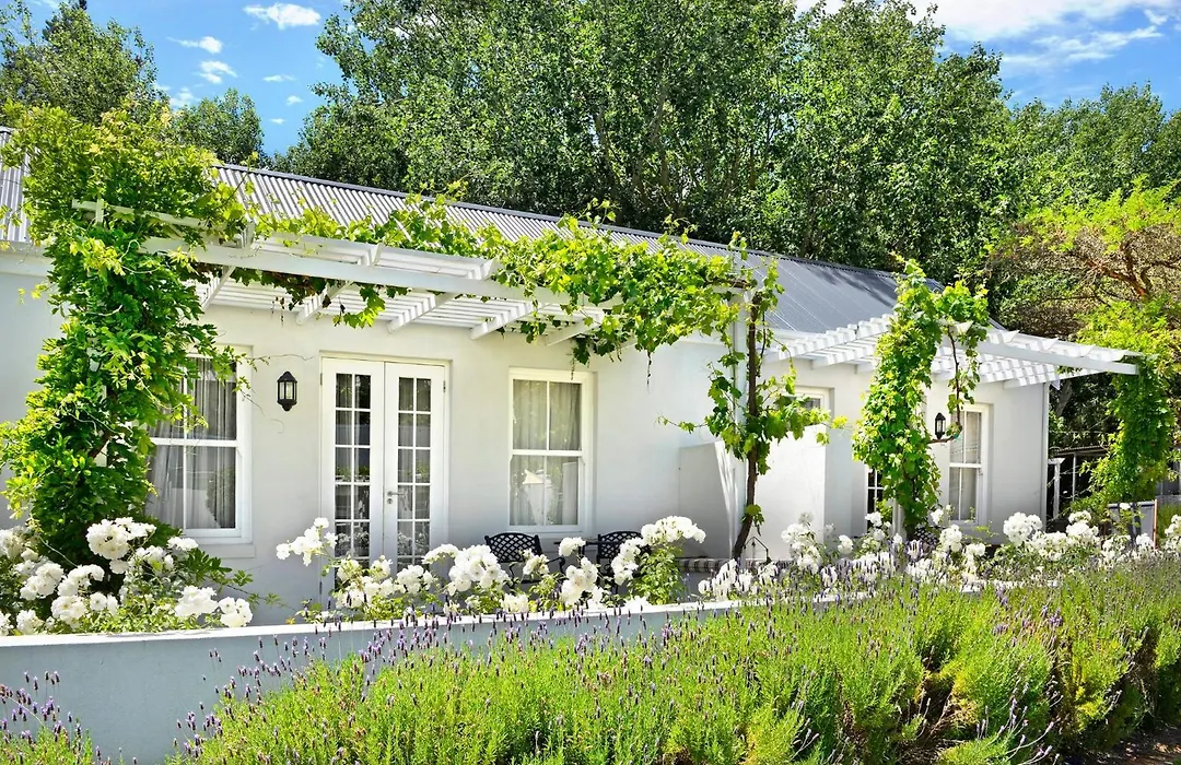 Lavender Farm Boutique Guest House-1