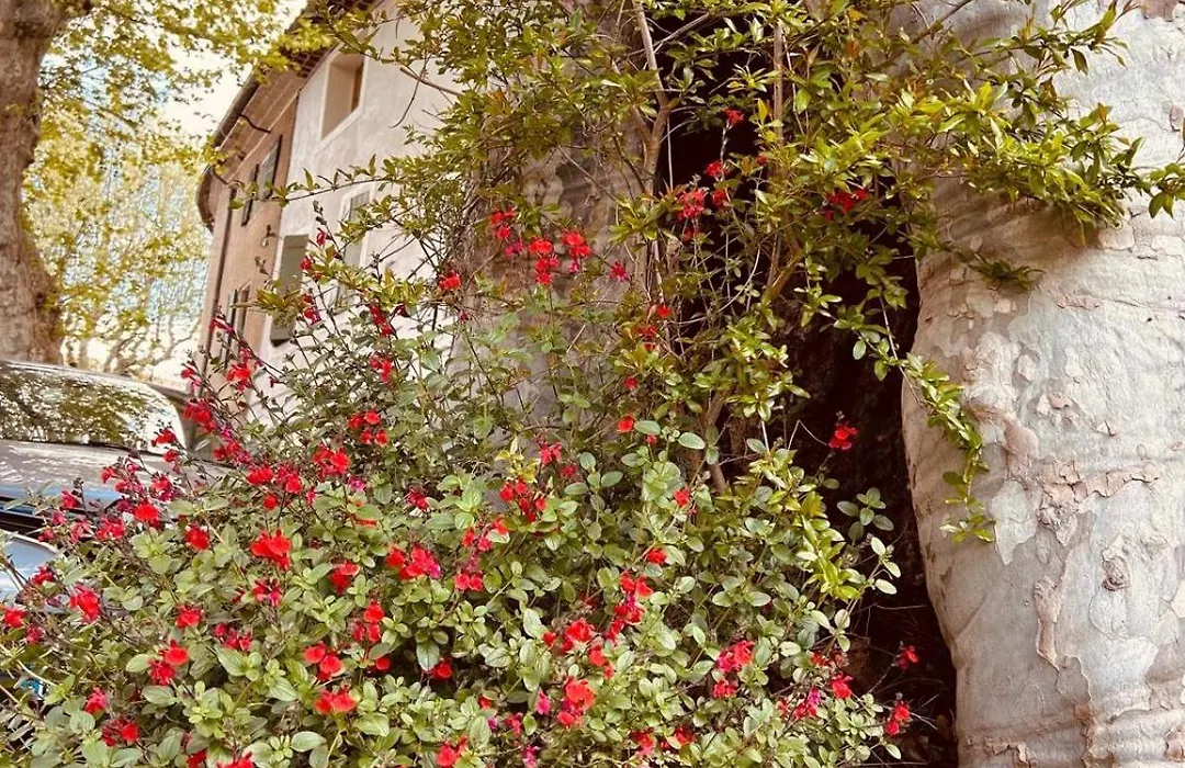 La Sarrasine-1