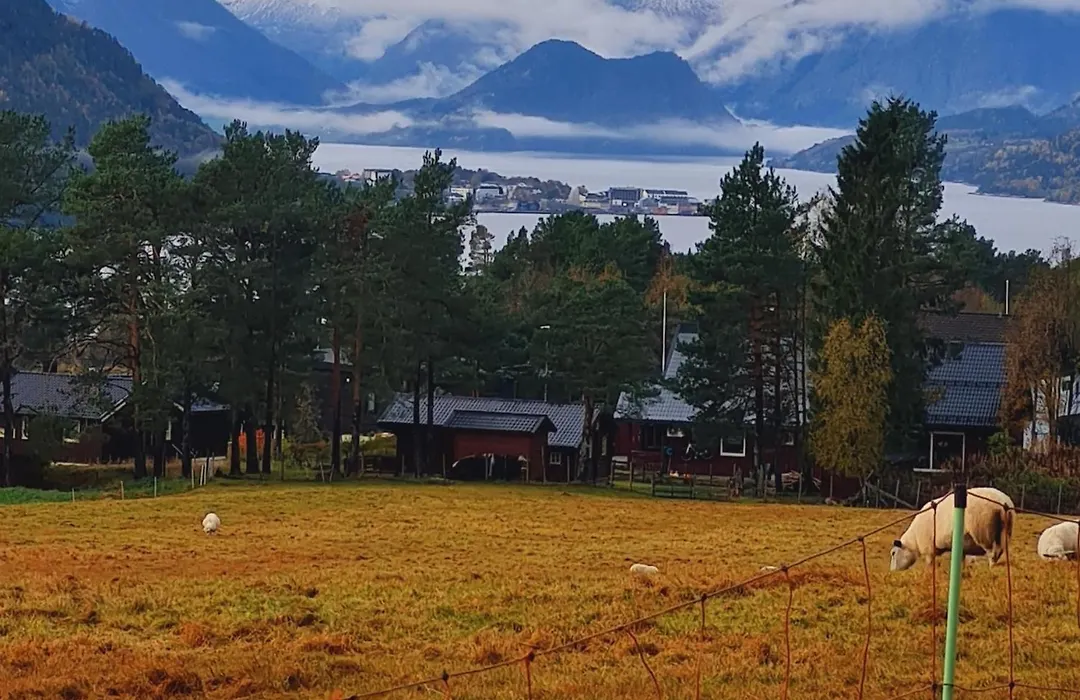 Romsdalseggen Camping-1