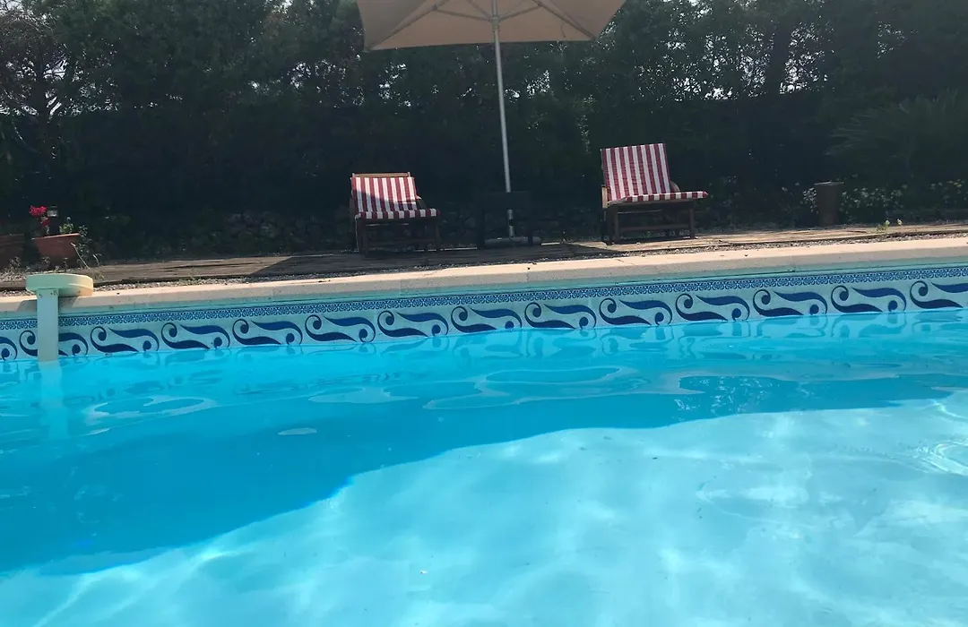 Le Patio Fleuri-1