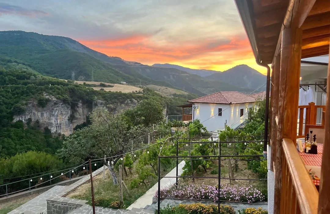 Guest House Bracaj-1