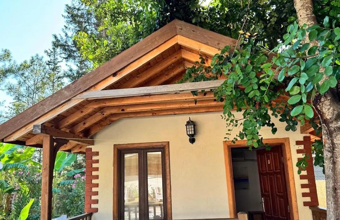 Kidrak Otel Montenegro-1-1