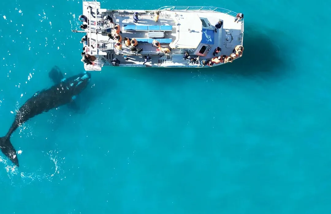 White Shark Guest House-1