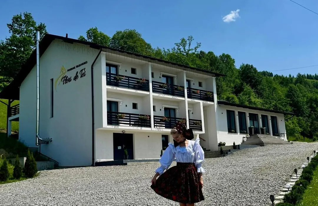 Flori De Tei Maramures-1