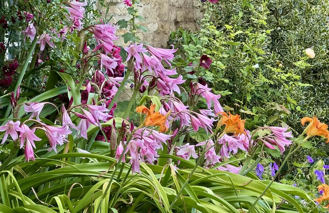 Guiting Guest House-1