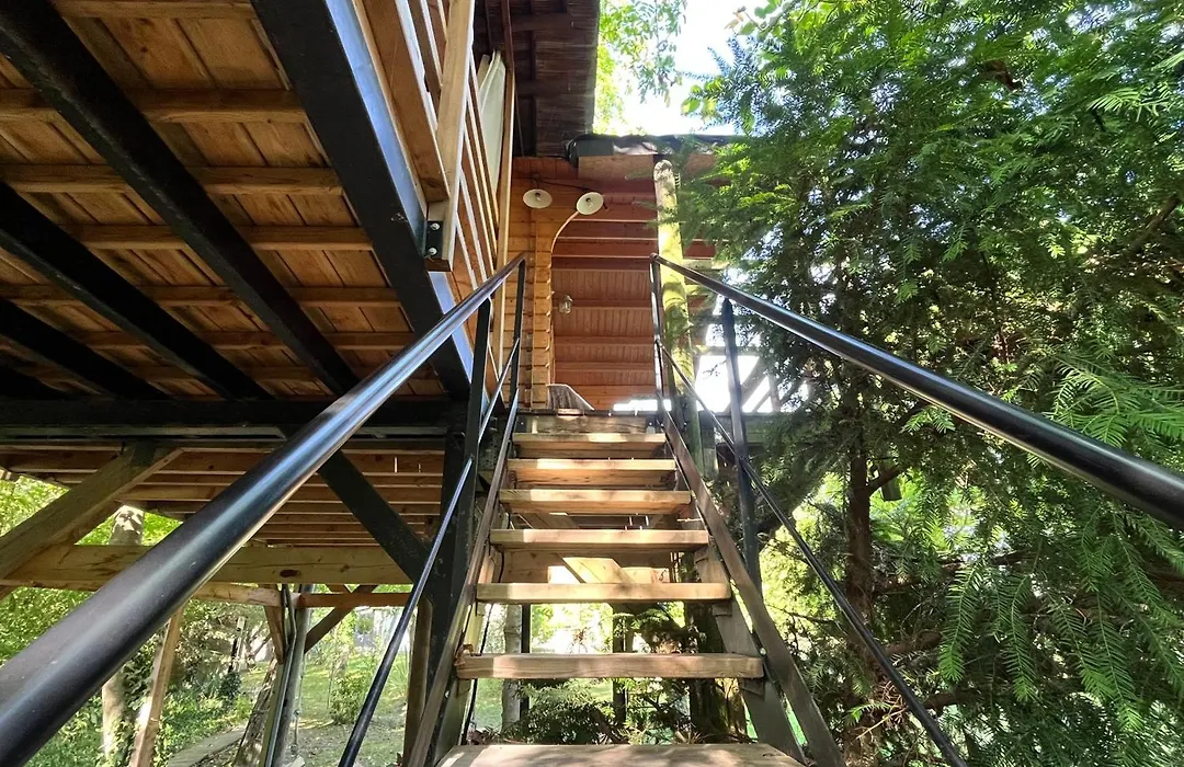 Cabane Dans Les Arbres Avec Bain Nordique-1