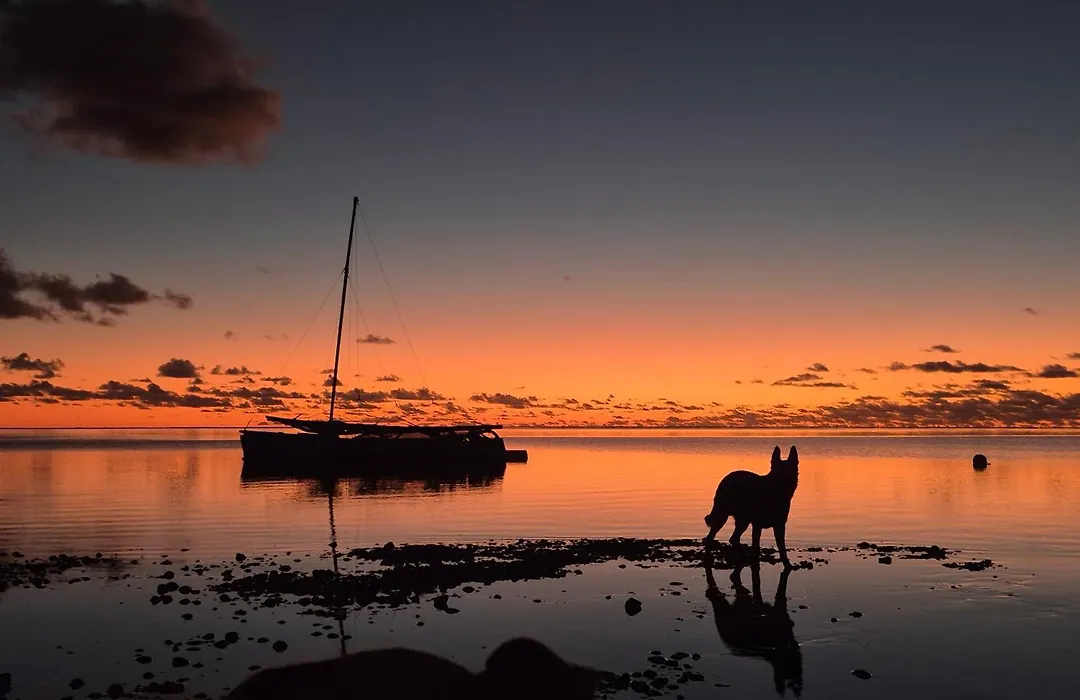 Fare Tokoau Moorea-1