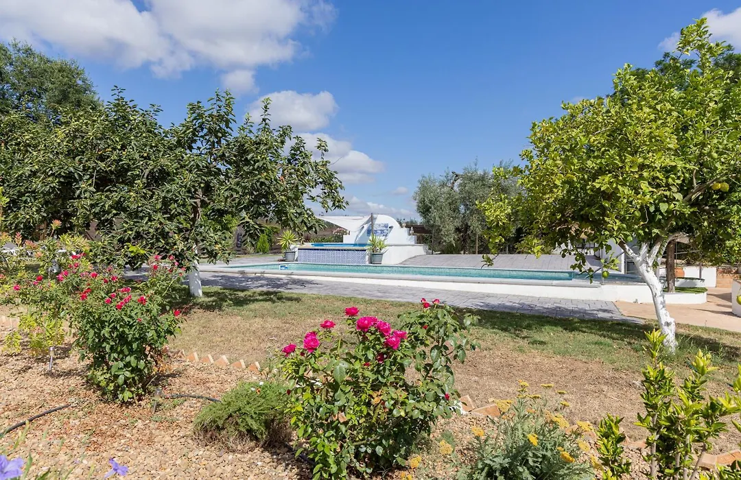 Casa los Laureles-1