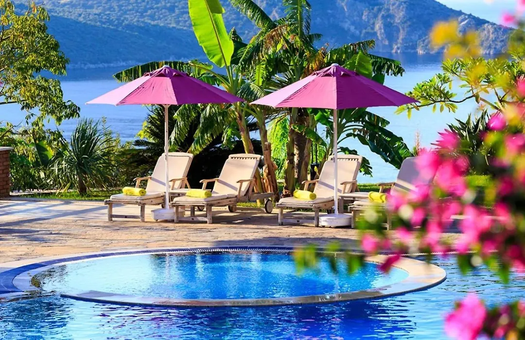 Kalkan Regency-1