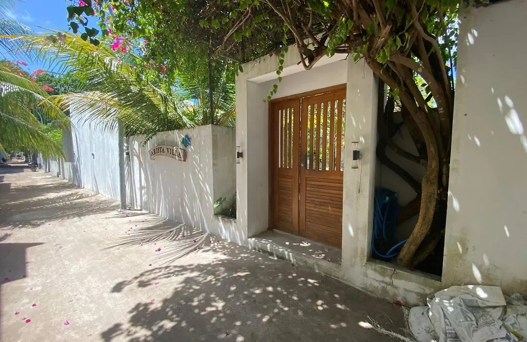 Arista Villa-1