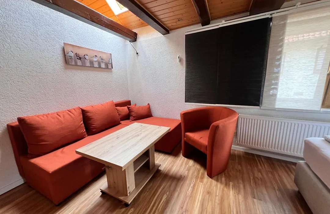 Pension und Ferienhäuser Tor zum Rennsteig-1