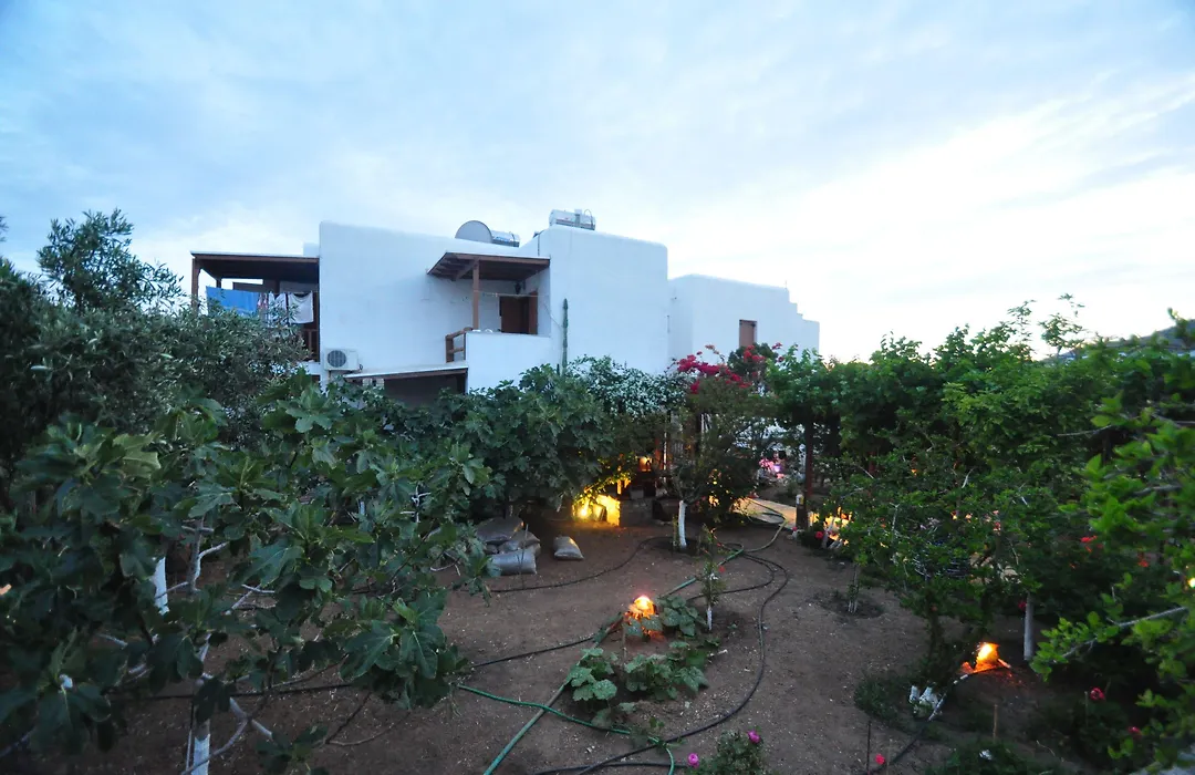 Villa Mata-1