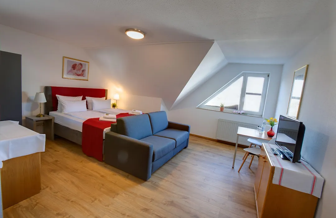 Hotel Leo Muehlhausen-1