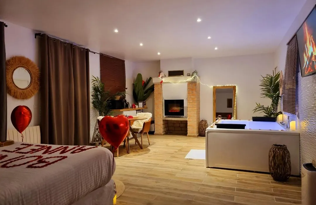 Loft de luxe avec jacuzzi jardin privé près de Paris et 20min Stade de France-1