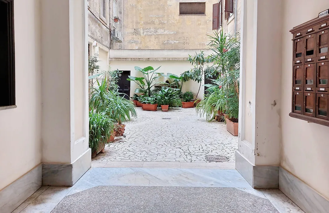 Dandi Domus-1
