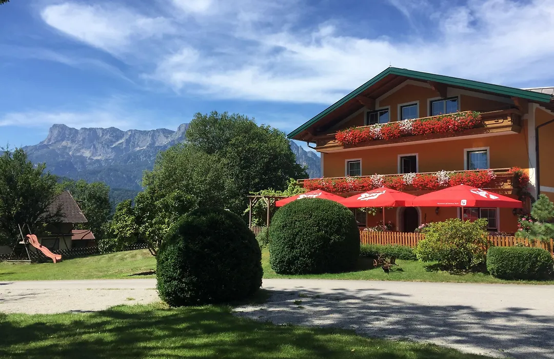 Pension David-1