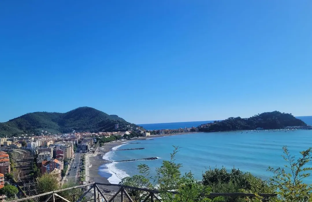 Il Tulipanonero-1
