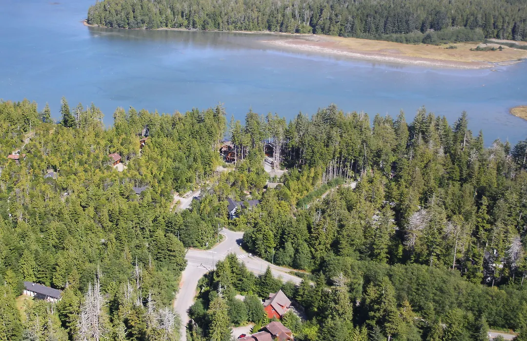 Black Bear Guesthouse-1