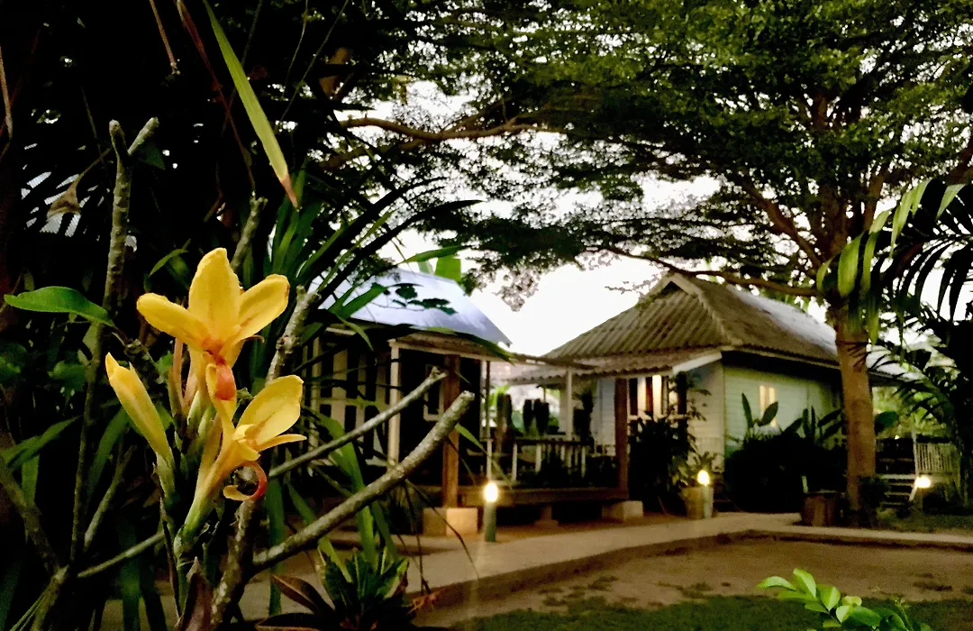 Canary Guesthouse-1