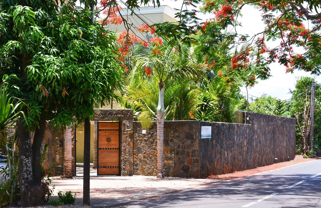 La Margarita-1