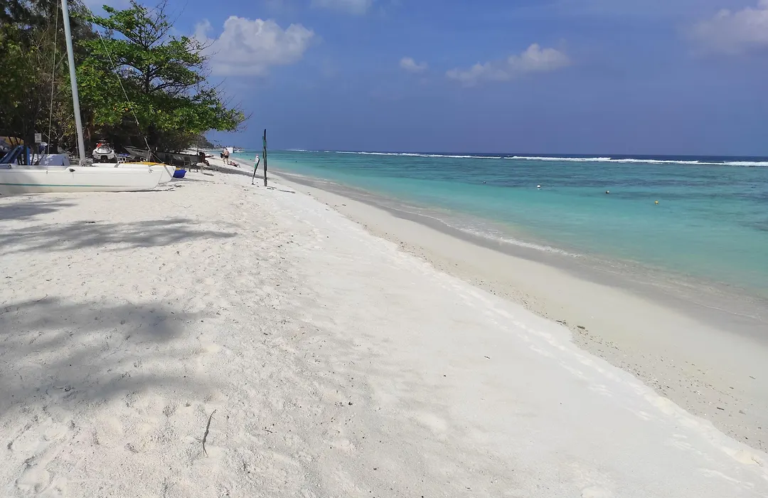 Planktons Beach-1