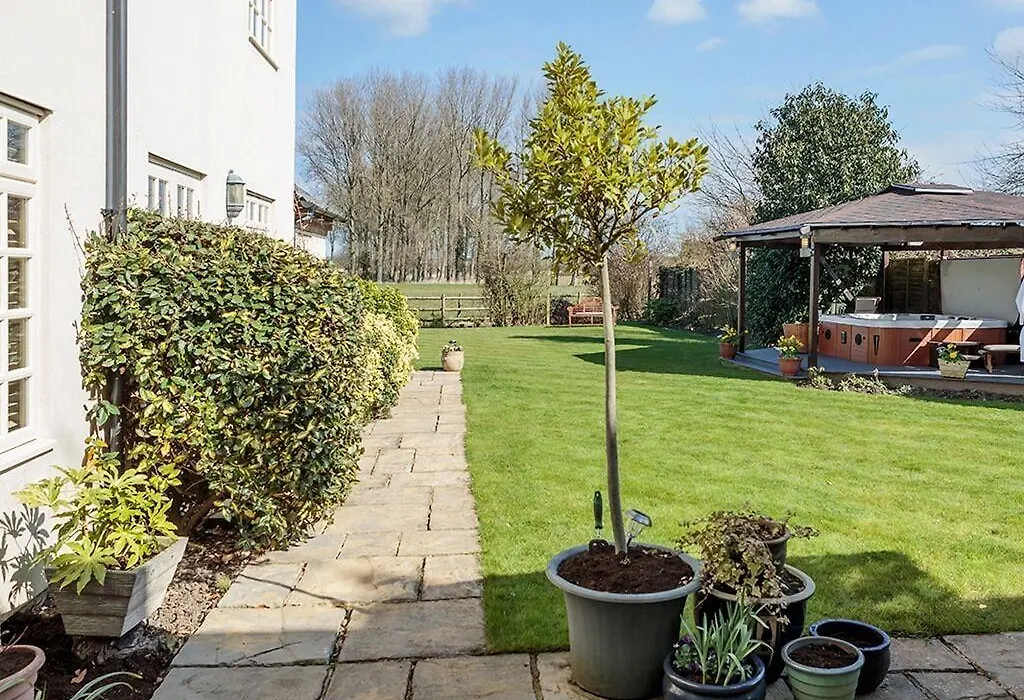 Meadow View-1