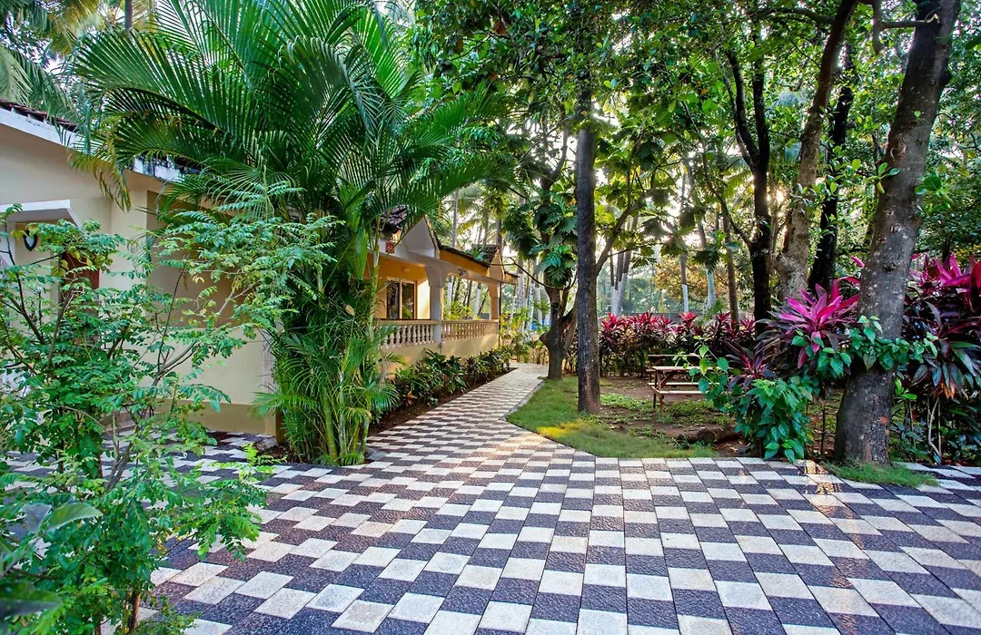 Hill Top Goa Lodge-1