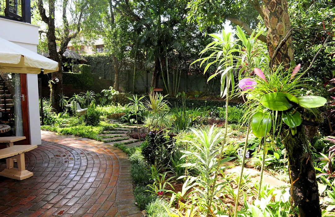 Oliveroom Self Catering And B&B-1