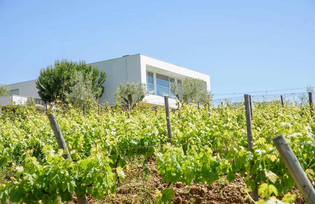 Quinta Do Bosque-1