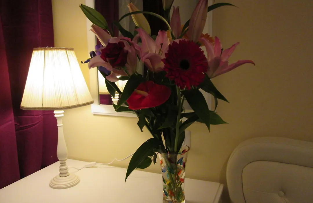 Trevi Elegance Suite-1