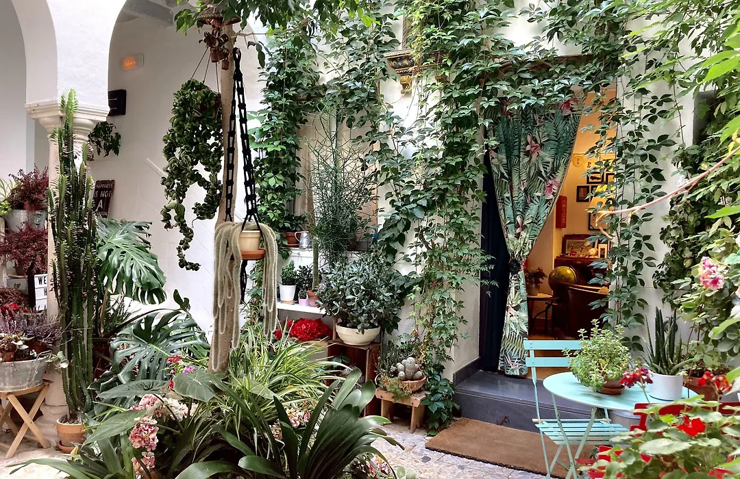 Casa De Huespedes Santa Maria (Adults Only)-1