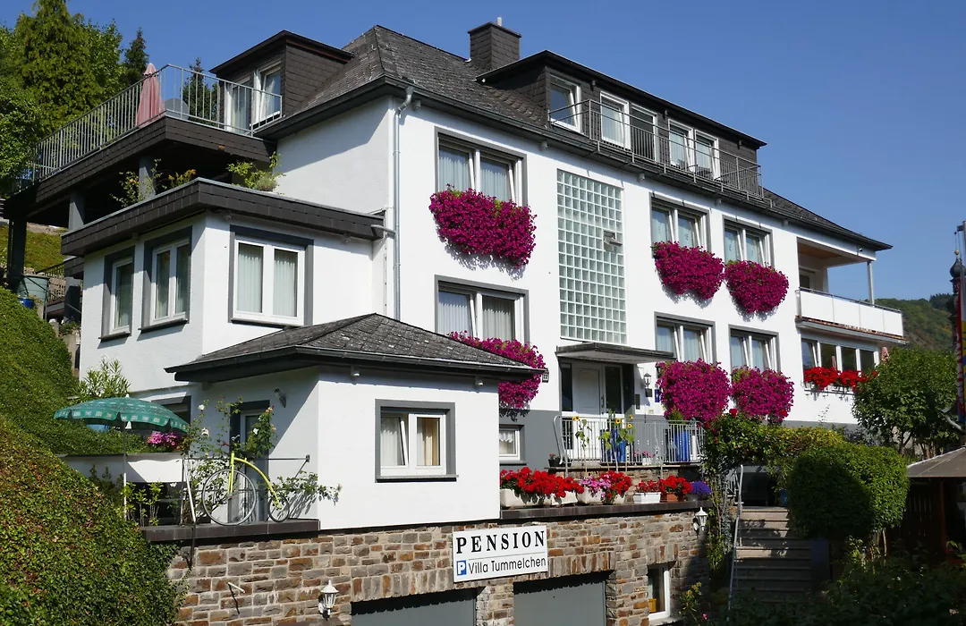 Hotel Villa Tummelchen-1