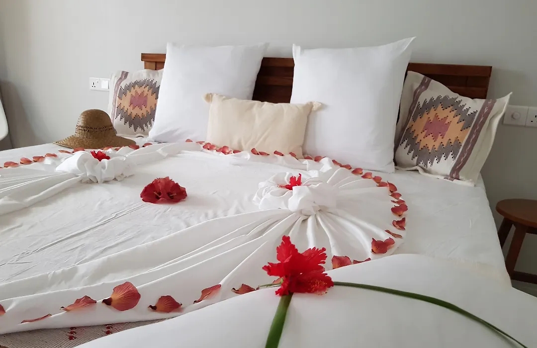 Coco Villa-1