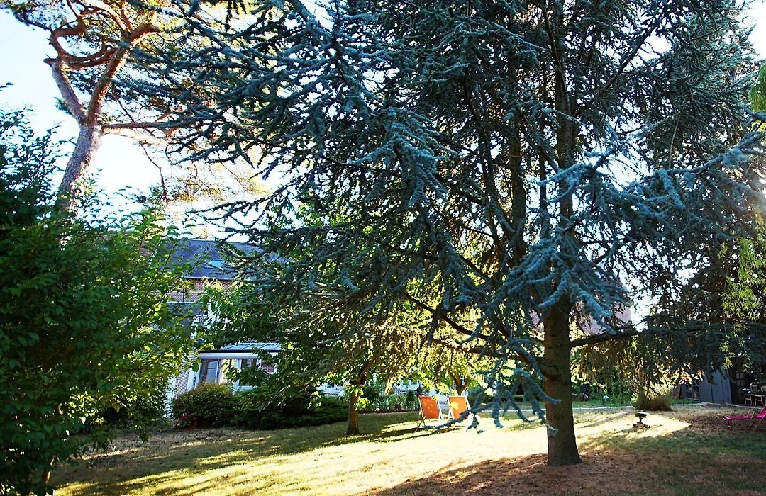 La Salamandre-1
