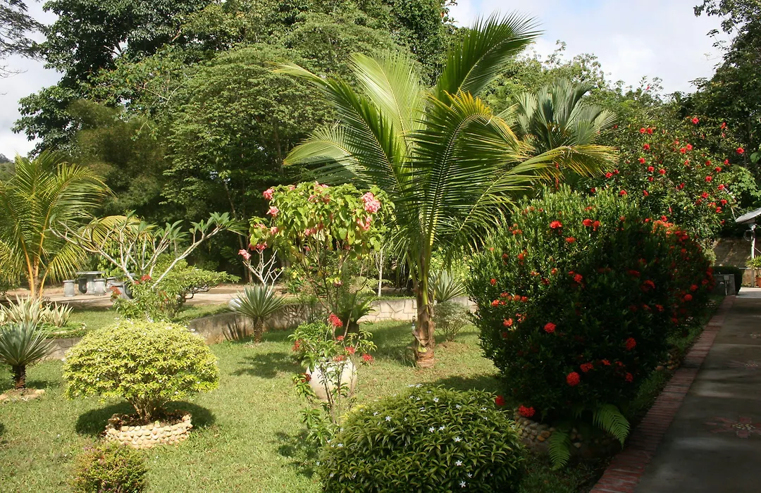 Balai Serama Guesthouse-1