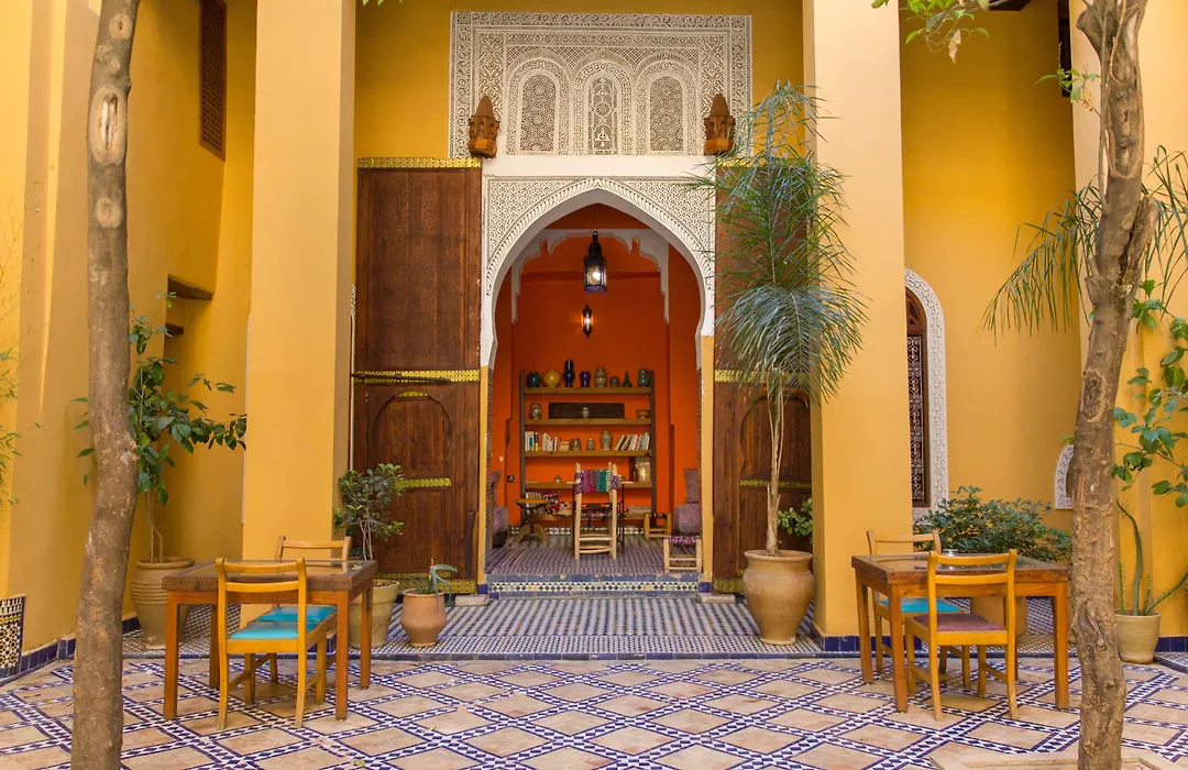 Medina social club-1