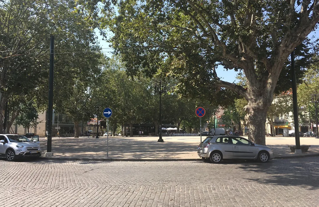 Casa Dos Carvalhos-1