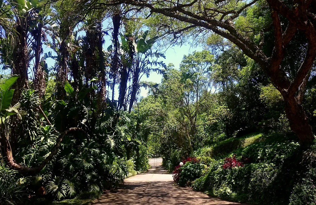 Africa'S Eden Guesthouse-1