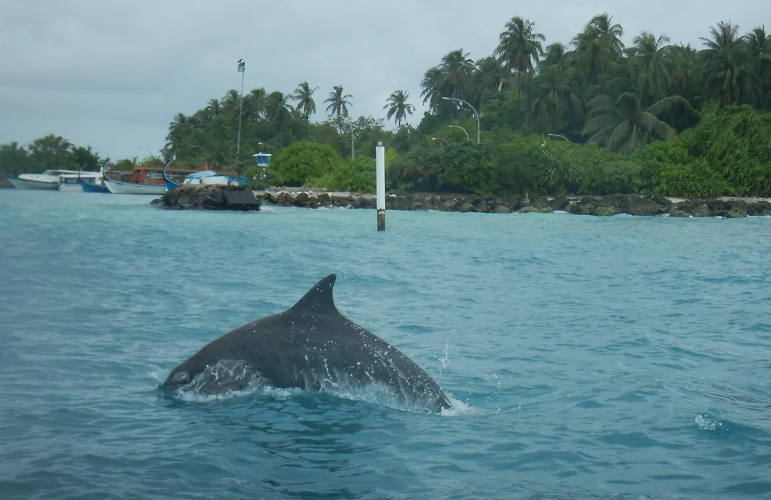 Ocean Beach Inn - Maldives-1