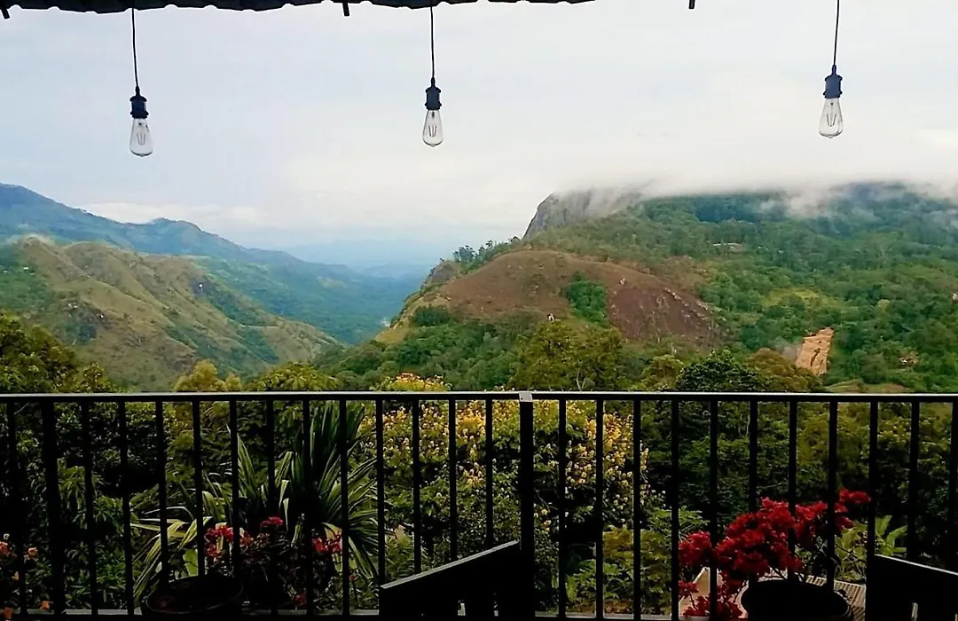 Golden View Guest Ella-1