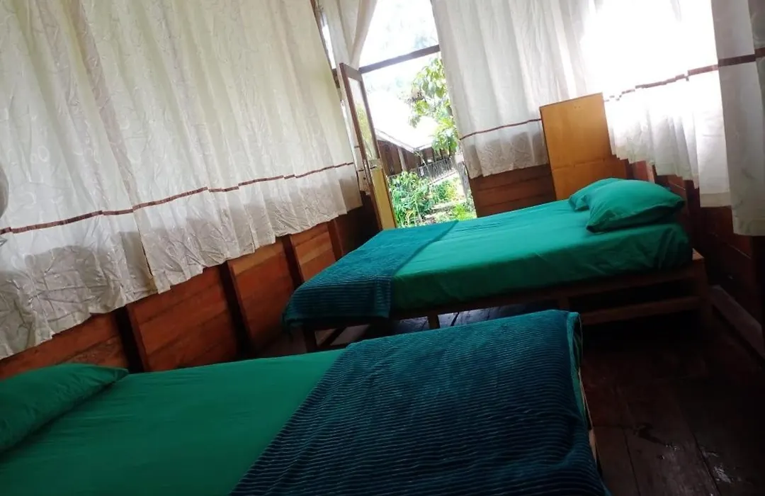 Bua Guesthouse Tangkahan-1